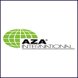 recent_aza